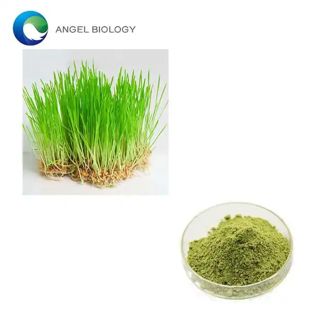 Wheatgrass Extract